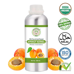 Apricot Kernel Oil - MK Exports India