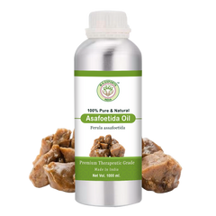 Buy Wholesale Pure Asafoetida Hing Essential Oil At Best Price In India
