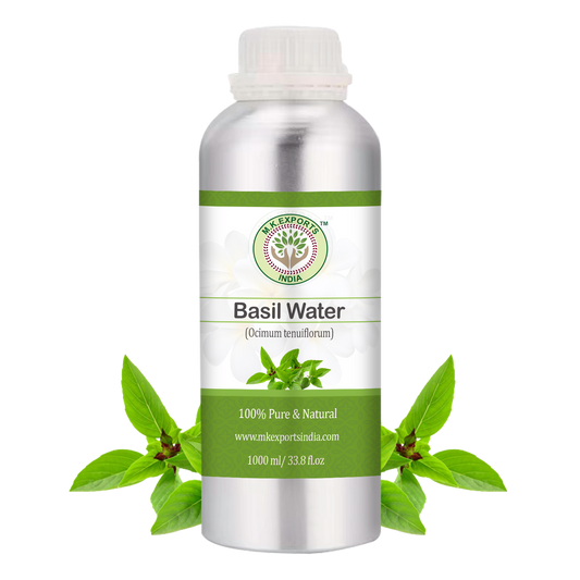 Basil Floral Water (Hydrosol)