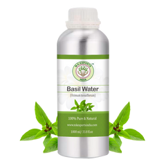Basil Floral Water (Hydrosol)
