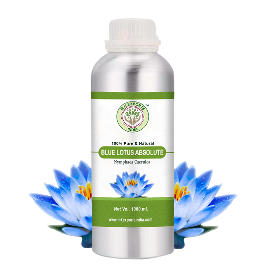 Blue Lotus Absolute
