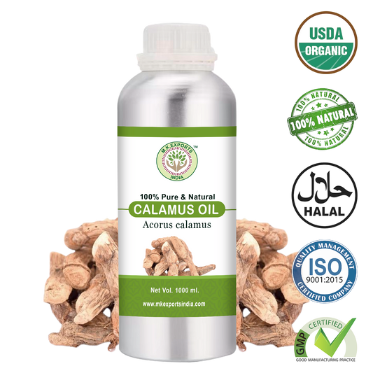 Calamus Essential Oil Uses & Benefits