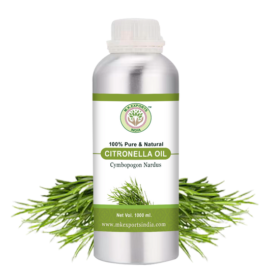 Citronella Essential Oil Uses & Benefits