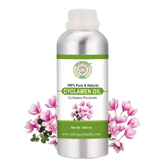 Cyclamen-Essential-Oil Uses and Benefits