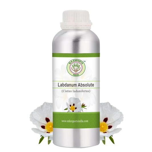 Labdanum Absolute Spain