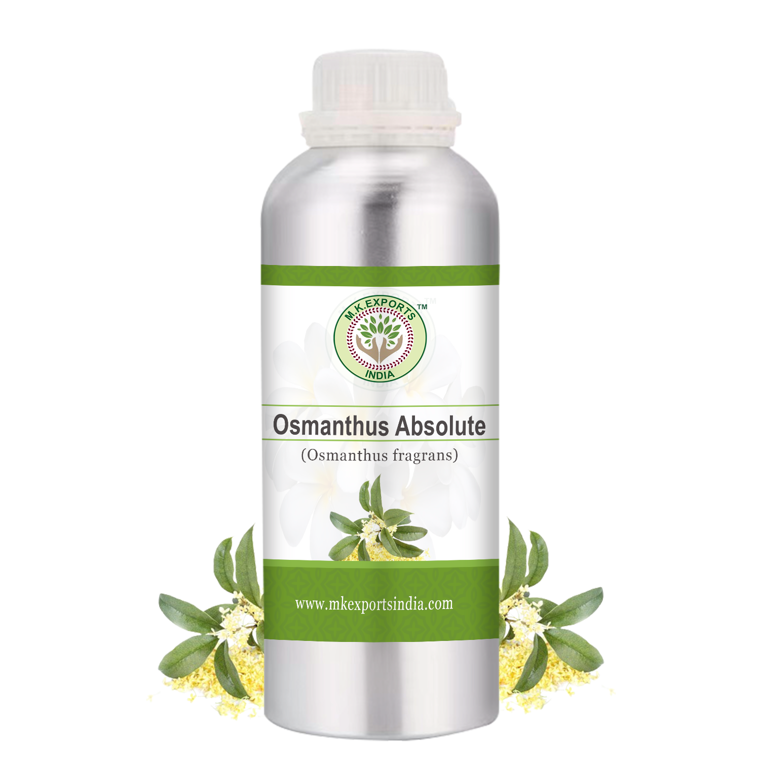 Osmanthus Absolute