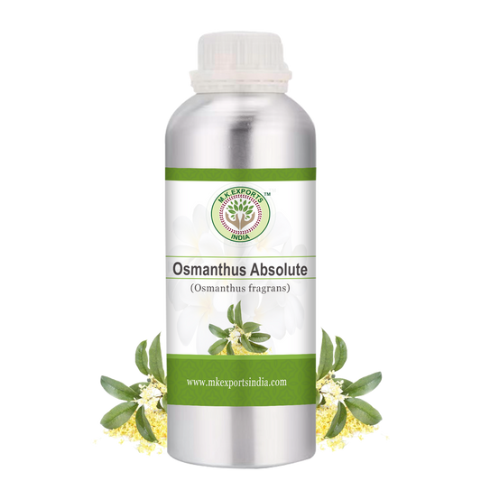Osmanthus Absolute