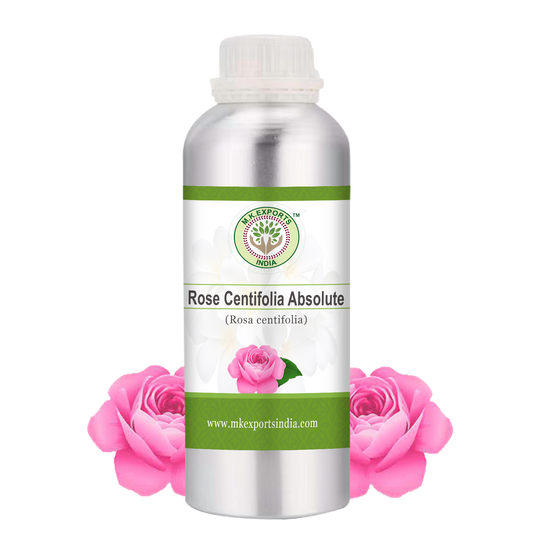 Rose Centifolia Absolute - 100% Pure
