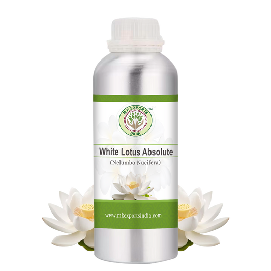 White Lotus Absolute 