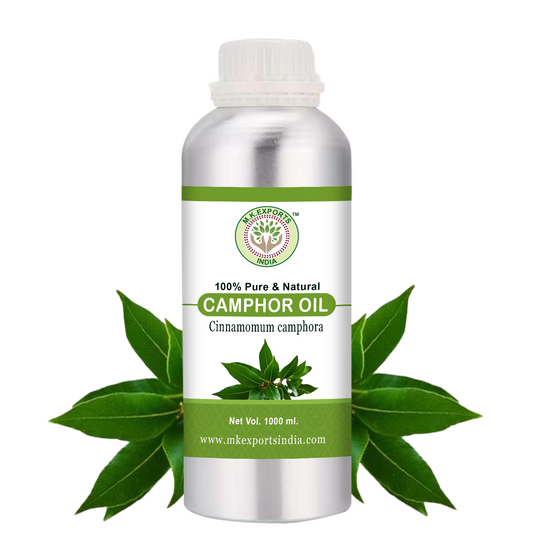 Camphor Essential Oil 